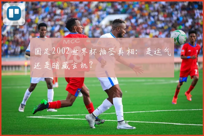 国足2002世界杯抽签真相:是运气还是暗藏玄机?