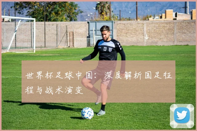 世界杯足球中国：深度解析国足征程与战术演变