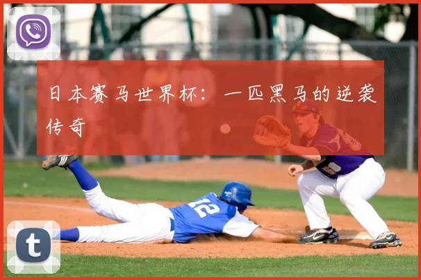 日本赛马世界杯：一匹黑马的逆袭传奇