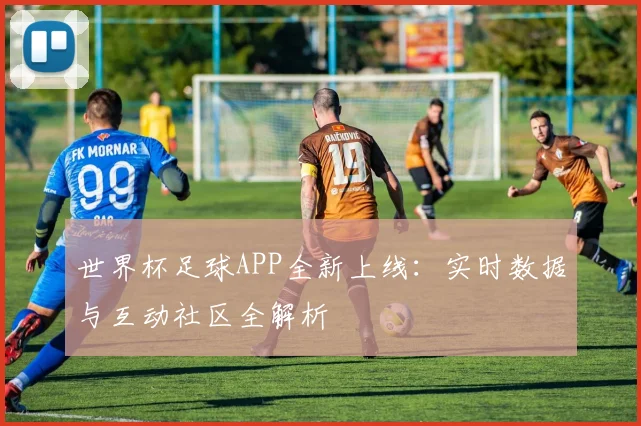 世界杯足球APP全新上线：实时数据与互动社区全解析