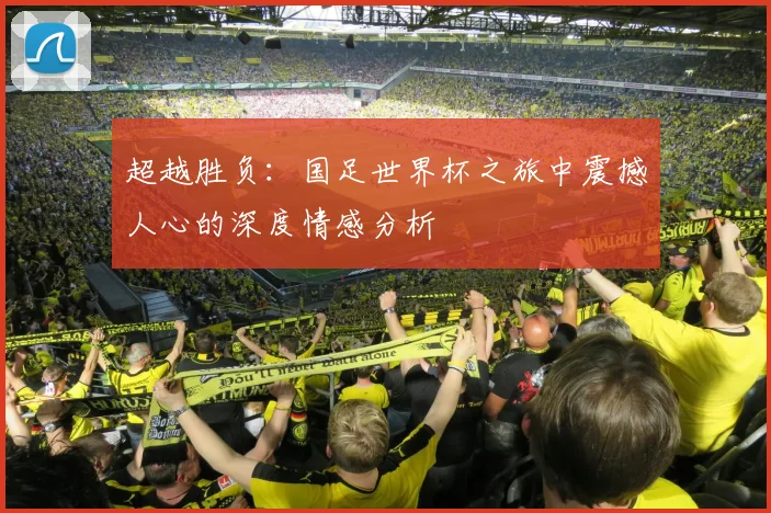 超越胜负：国足世界杯之旅中震撼人心的深度情感分析