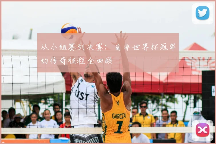 从小组赛到决赛：南非世界杯冠军的传奇征程全回顾
