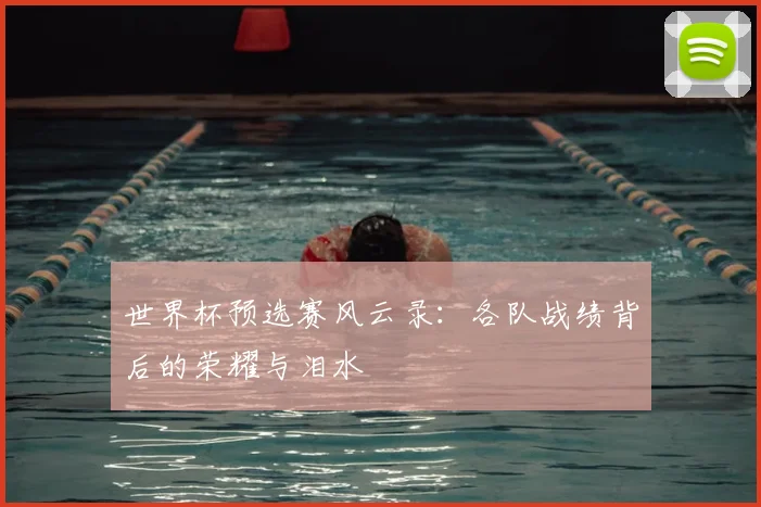 世界杯预选赛风云录：各队战绩背后的荣耀与泪水