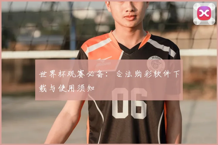 世界杯观赛必备：合法购彩软件下载与使用须知
