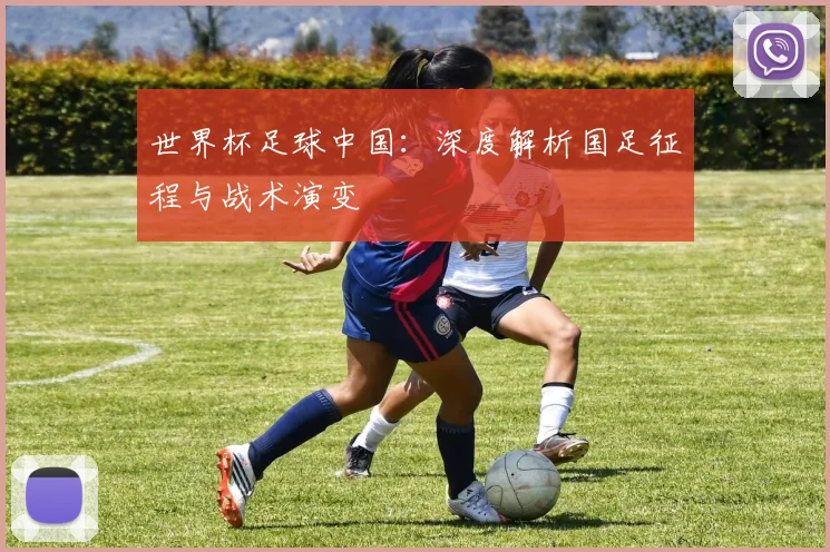 世界杯足球中国:深度解析国足征程与战术演变