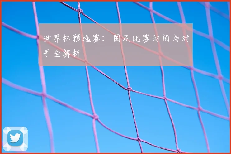 世界杯预选赛：国足比赛时间与对手全解析