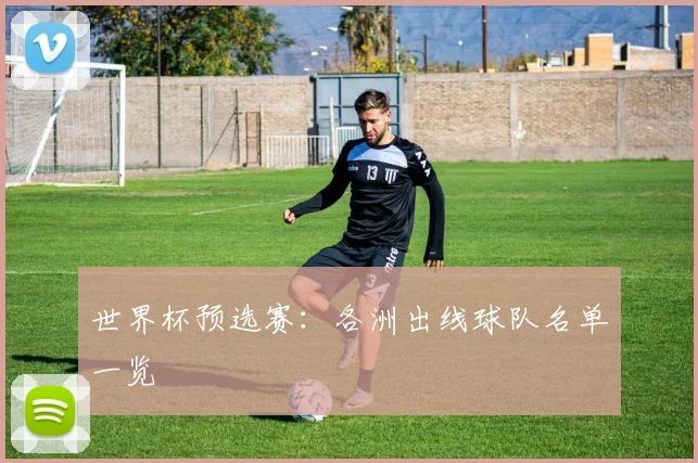 世界杯预选赛：各洲出线球队名单一览