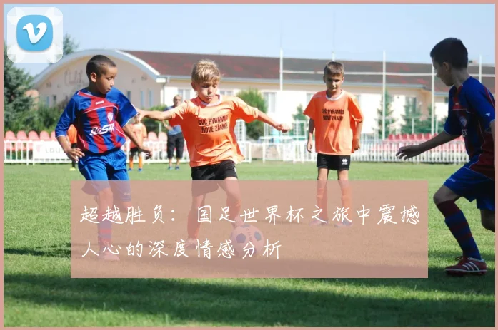 超越胜负：国足世界杯之旅中震撼人心的深度情感分析