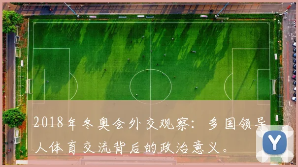 2018年冬奥会外交观察:多国领导人体育交流背后的政治意义。